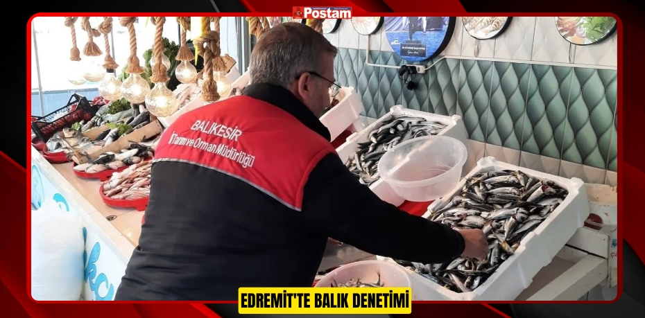 Edremit'te balık denetimi  