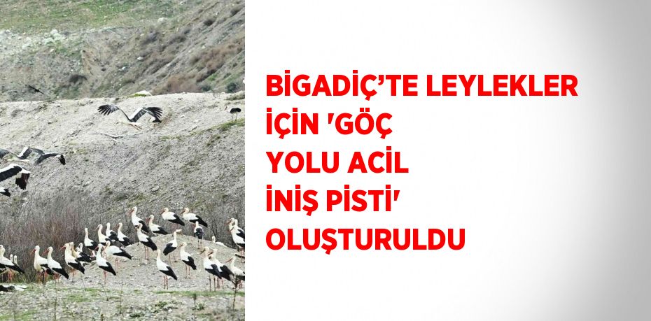 BİGADİÇ’TE LEYLEKLER İÇİN 'GÖÇ YOLU ACİL İNİŞ PİSTİ' OLUŞTURULDU