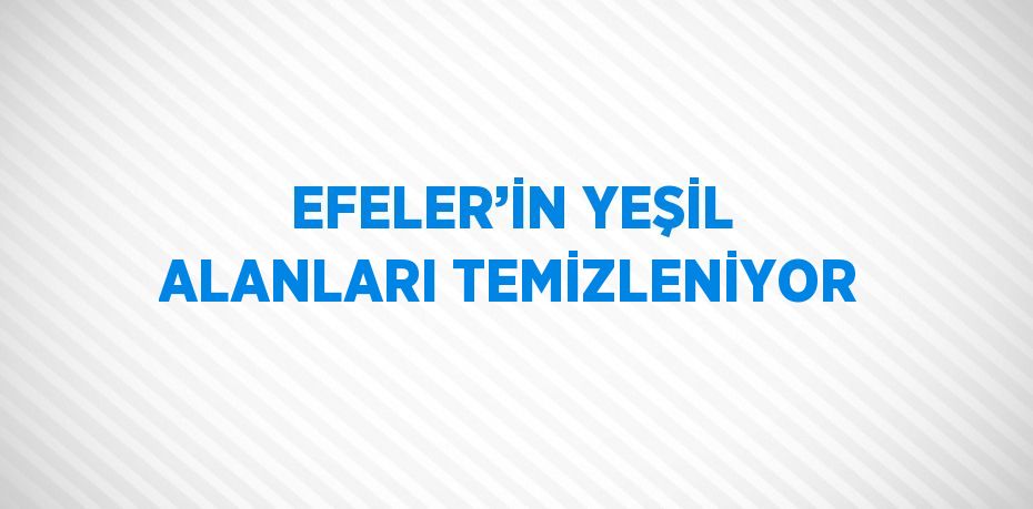 EFELER’İN YEŞİL ALANLARI TEMİZLENİYOR