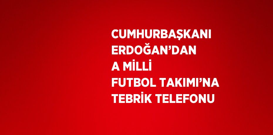 CUMHURBAŞKANI ERDOĞAN’DAN A MİLLİ FUTBOL TAKIMI’NA TEBRİK TELEFONU