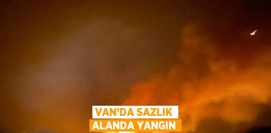 VAN’DA SAZLIK ALANDA YANGIN