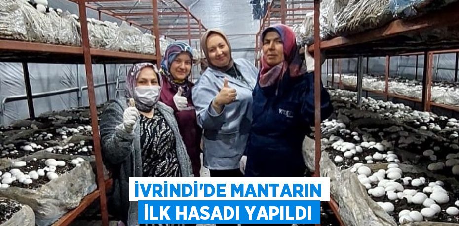 İvrindi'de Mantarın İlk Hasadı Yapıldı