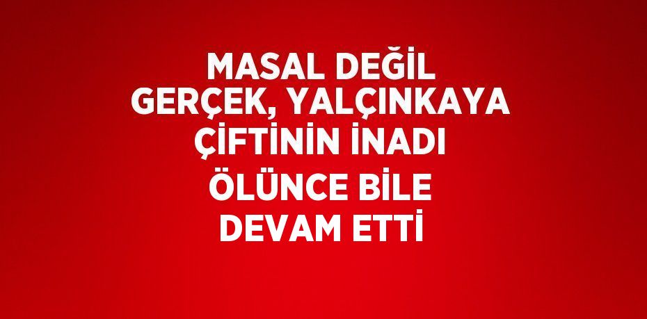 MASAL DEĞİL GERÇEK, YALÇINKAYA ÇİFTİNİN İNADI ÖLÜNCE BİLE DEVAM ETTİ