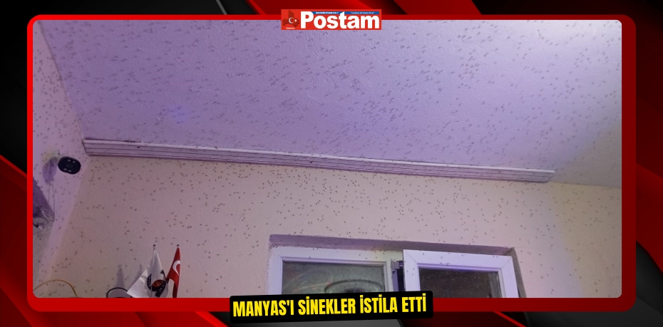 Manyas'ı sinekler istila etti 