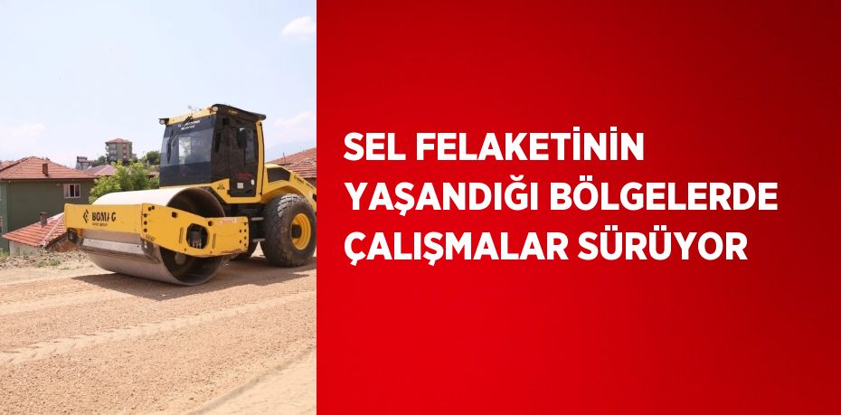 SEL FELAKETİNİN YAŞANDIĞI BÖLGELERDE ÇALIŞMALAR SÜRÜYOR