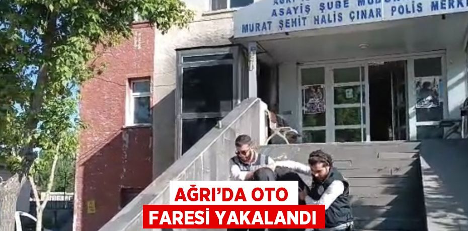 AĞRI’DA OTO FARESİ YAKALANDI