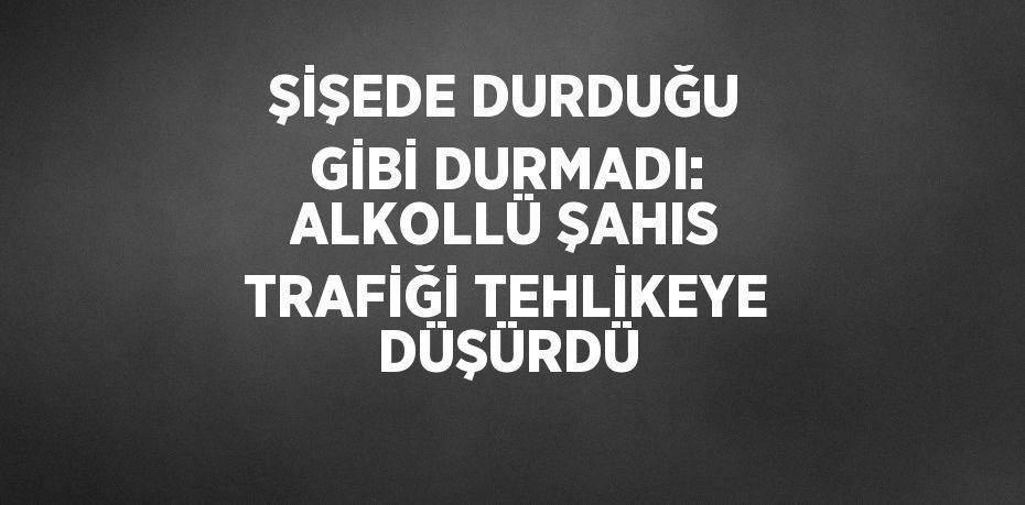 ŞİŞEDE DURDUĞU GİBİ DURMADI: ALKOLLÜ ŞAHIS TRAFİĞİ TEHLİKEYE DÜŞÜRDÜ