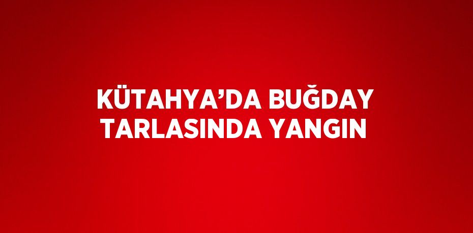 KÜTAHYA’DA BUĞDAY TARLASINDA YANGIN