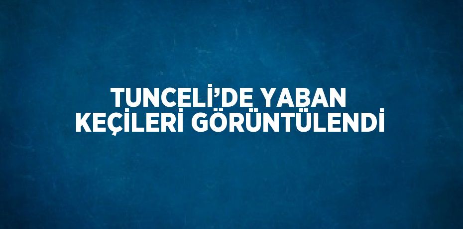 TUNCELİ’DE YABAN KEÇİLERİ GÖRÜNTÜLENDİ