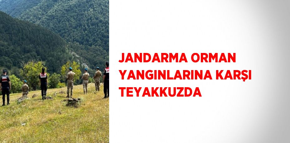 JANDARMA ORMAN YANGINLARINA KARŞI TEYAKKUZDA