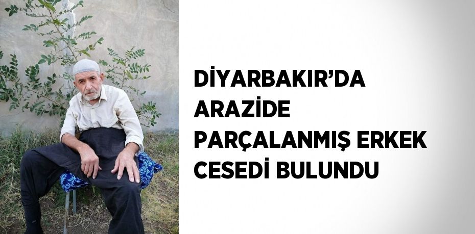 DİYARBAKIR’DA ARAZİDE PARÇALANMIŞ ERKEK CESEDİ BULUNDU