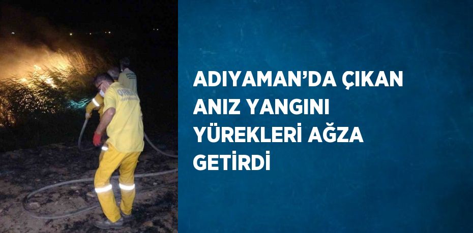 ADIYAMAN’DA ÇIKAN ANIZ YANGINI YÜREKLERİ AĞZA GETİRDİ