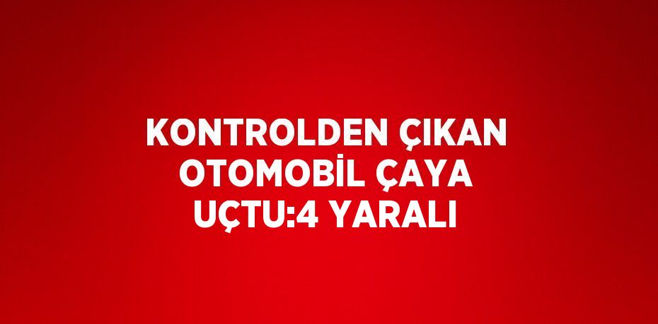 KONTROLDEN ÇIKAN OTOMOBİL ÇAYA UÇTU:4 YARALI