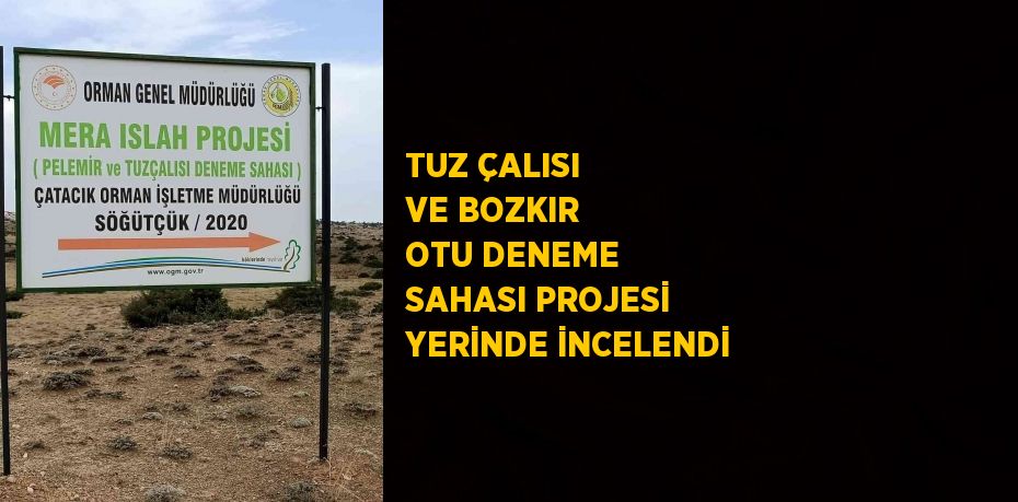 TUZ ÇALISI VE BOZKIR OTU DENEME SAHASI PROJESİ YERİNDE İNCELENDİ