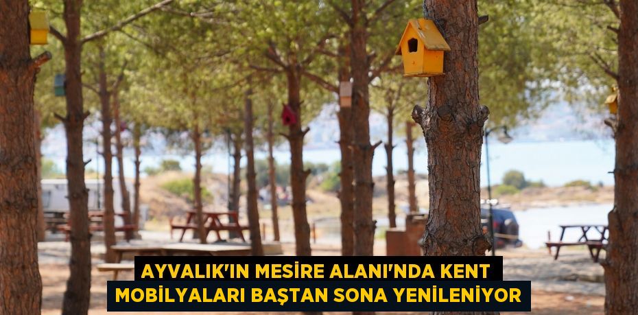 AYVALIK’IN MESİRE ALANI’NDA KENT MOBİLYALARI BAŞTAN SONA YENİLENİYOR