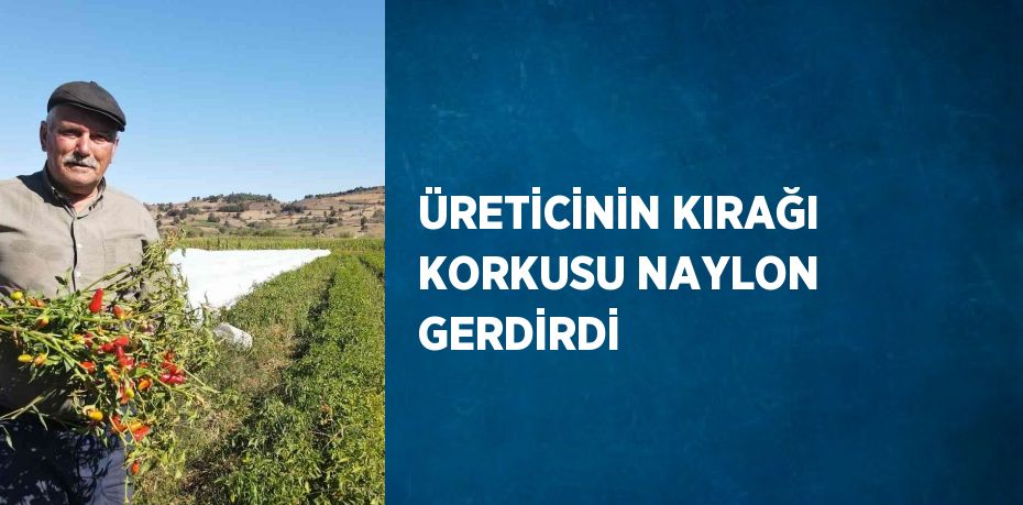 ÜRETİCİNİN KIRAĞI KORKUSU NAYLON GERDİRDİ