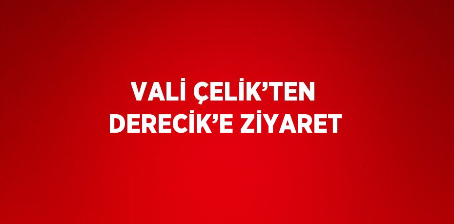 VALİ ÇELİK’TEN DERECİK’E ZİYARET