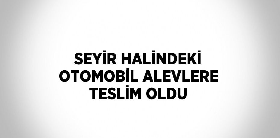 SEYİR HALİNDEKİ OTOMOBİL ALEVLERE TESLİM OLDU