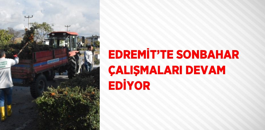 EDREMİT’TE SONBAHAR ÇALIŞMALARI DEVAM EDİYOR