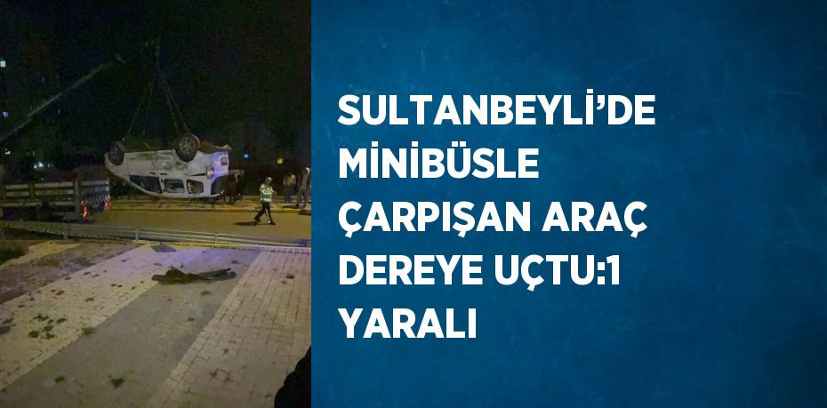 SULTANBEYLİ’DE MİNİBÜSLE ÇARPIŞAN ARAÇ DEREYE UÇTU:1 YARALI