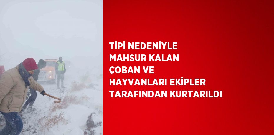 TİPİ NEDENİYLE MAHSUR KALAN ÇOBAN VE HAYVANLARI EKİPLER TARAFINDAN KURTARILDI