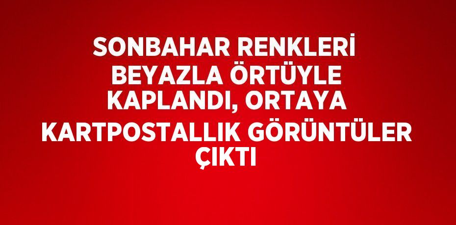 SONBAHAR RENKLERİ BEYAZLA ÖRTÜYLE KAPLANDI, ORTAYA KARTPOSTALLIK GÖRÜNTÜLER ÇIKTI