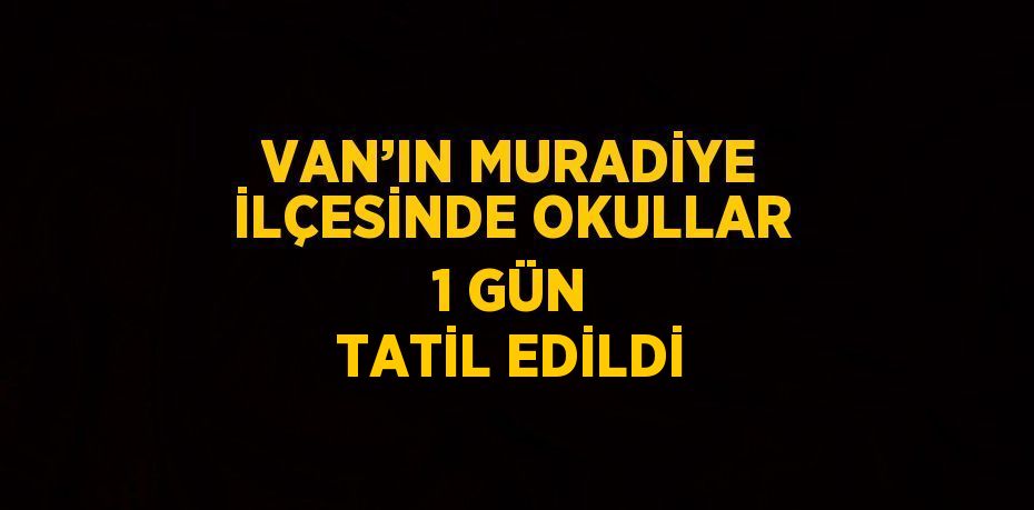 VAN’IN MURADİYE İLÇESİNDE OKULLAR 1 GÜN TATİL EDİLDİ