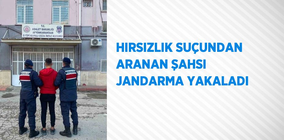 HIRSIZLIK SUÇUNDAN ARANAN ŞAHSI JANDARMA YAKALADI