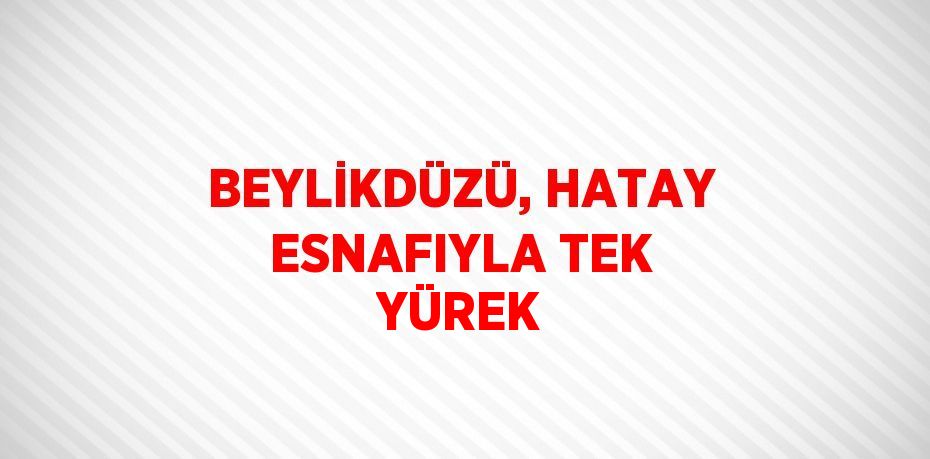 BEYLİKDÜZÜ, HATAY ESNAFIYLA TEK YÜREK