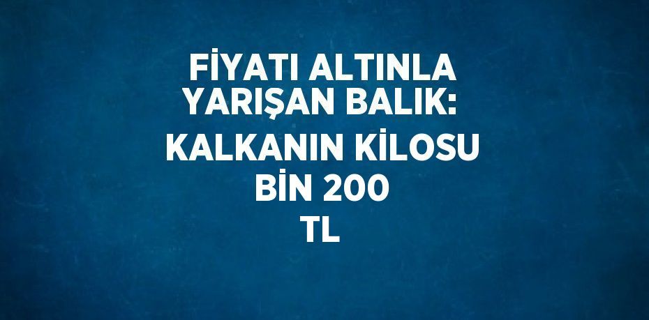 FİYATI ALTINLA YARIŞAN BALIK: KALKANIN KİLOSU BİN 200 TL