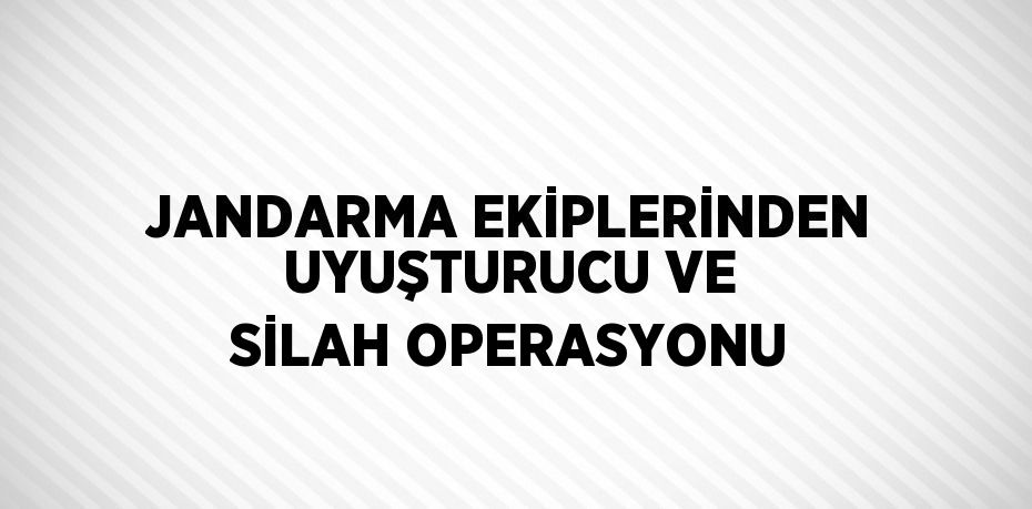 JANDARMA EKİPLERİNDEN UYUŞTURUCU VE SİLAH OPERASYONU