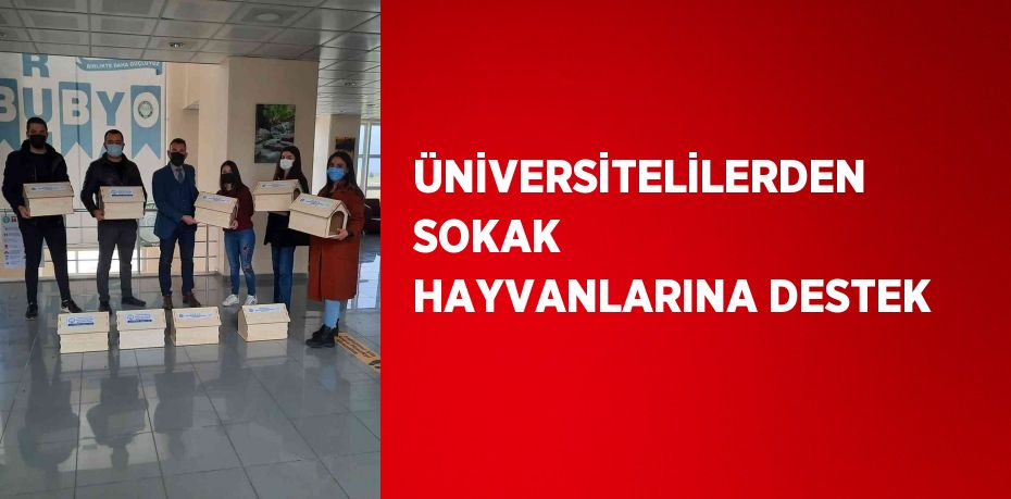 ÜNİVERSİTELİLERDEN SOKAK HAYVANLARINA DESTEK