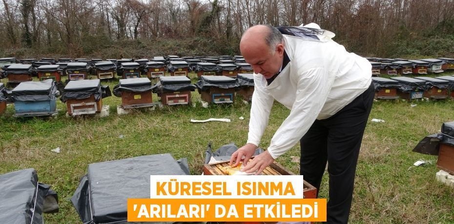 Küresel ısınma 'arıları' da etkiledi