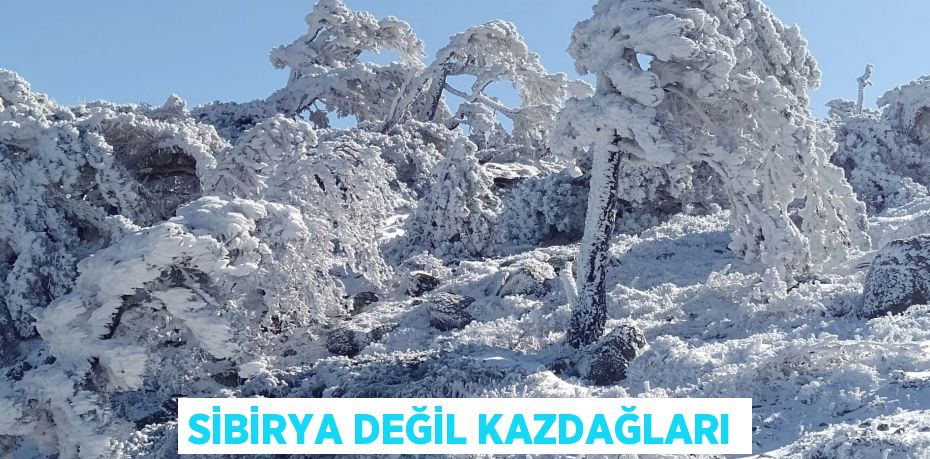 Sibirya değil Kazdağları