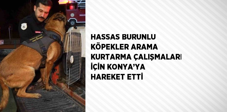 HASSAS BURUNLU KÖPEKLER ARAMA KURTARMA ÇALIŞMALARI İÇİN KONYA’YA HAREKET ETTİ