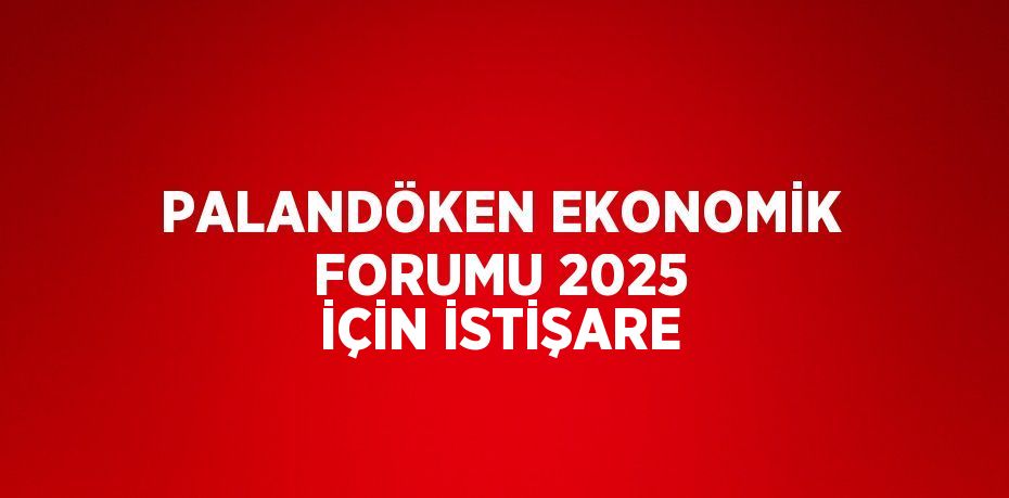 PALANDÖKEN EKONOMİK FORUMU 2025 İÇİN İSTİŞARE