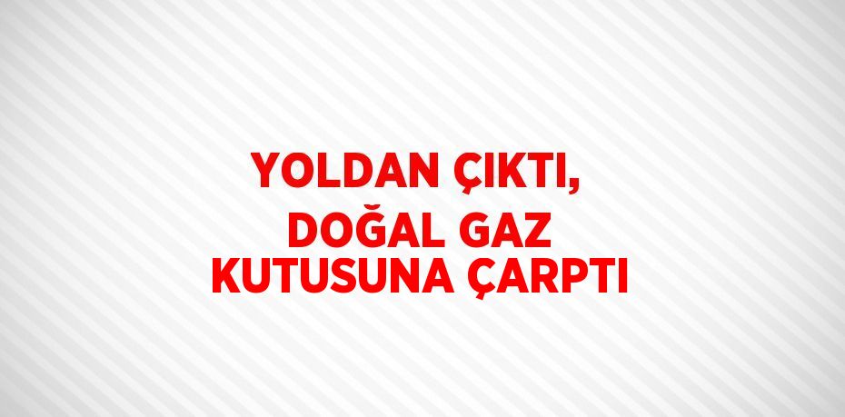 YOLDAN ÇIKTI, DOĞAL GAZ KUTUSUNA ÇARPTI