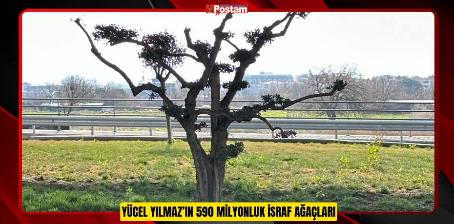 YÜCEL YILMAZ’IN 590 MİLYONLUK İSRAF AĞAÇLARI