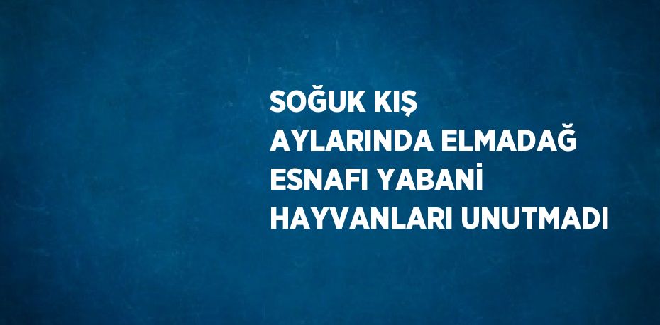 SOĞUK KIŞ AYLARINDA ELMADAĞ ESNAFI YABANİ HAYVANLARI UNUTMADI