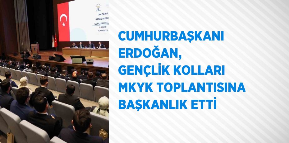 CUMHURBAŞKANI ERDOĞAN, GENÇLİK KOLLARI MKYK TOPLANTISINA BAŞKANLIK ETTİ