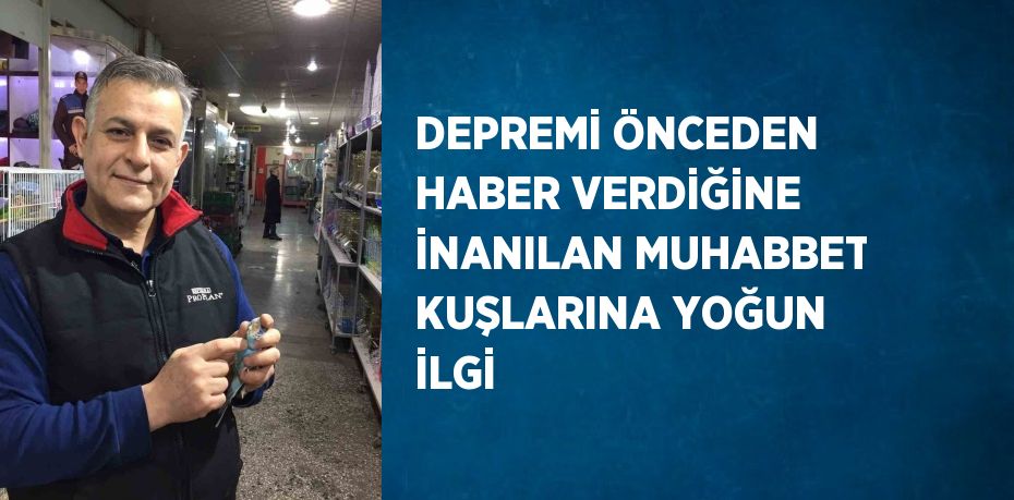 DEPREMİ ÖNCEDEN HABER VERDİĞİNE İNANILAN MUHABBET KUŞLARINA YOĞUN İLGİ