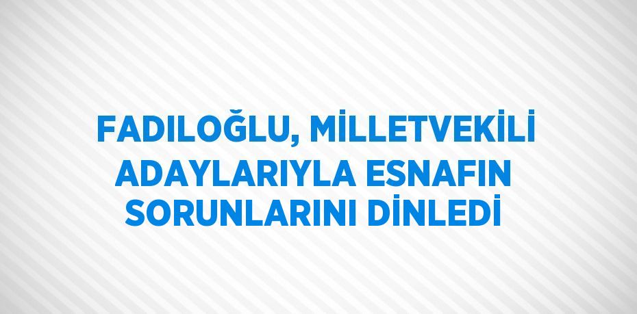 FADILOĞLU, MİLLETVEKİLİ ADAYLARIYLA ESNAFIN SORUNLARINI DİNLEDİ