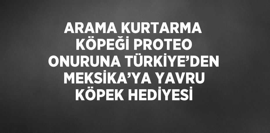 ARAMA KURTARMA KÖPEĞİ PROTEO ONURUNA TÜRKİYE’DEN MEKSİKA’YA YAVRU KÖPEK HEDİYESİ