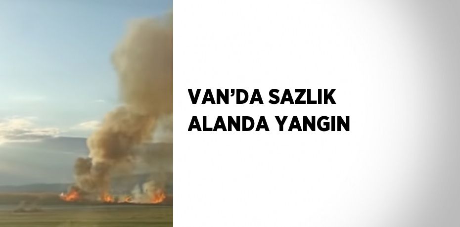 VAN’DA SAZLIK ALANDA YANGIN