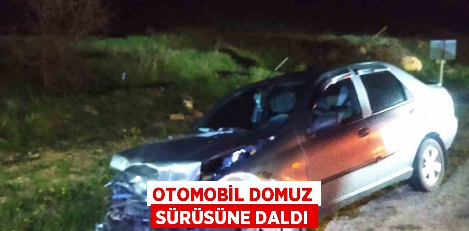 OTOMOBİL DOMUZ SÜRÜSÜNE DALDI