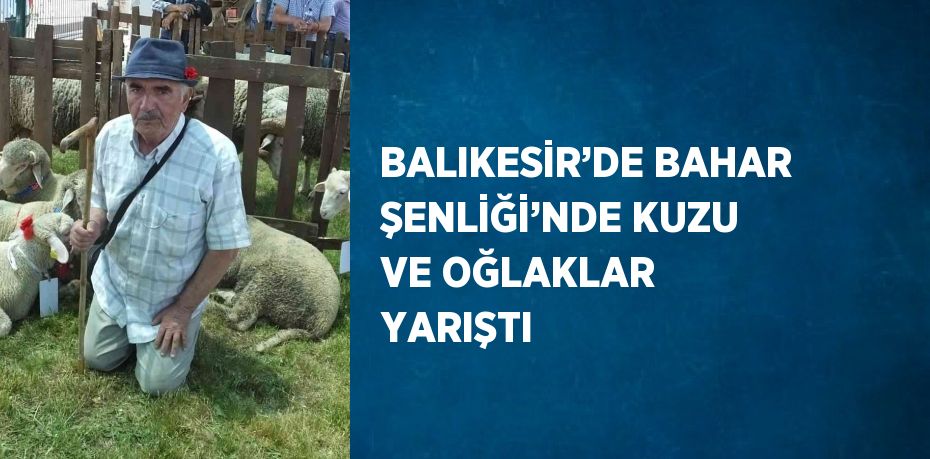 BALIKESİR’DE BAHAR ŞENLİĞİ’NDE KUZU VE OĞLAKLAR YARIŞTI