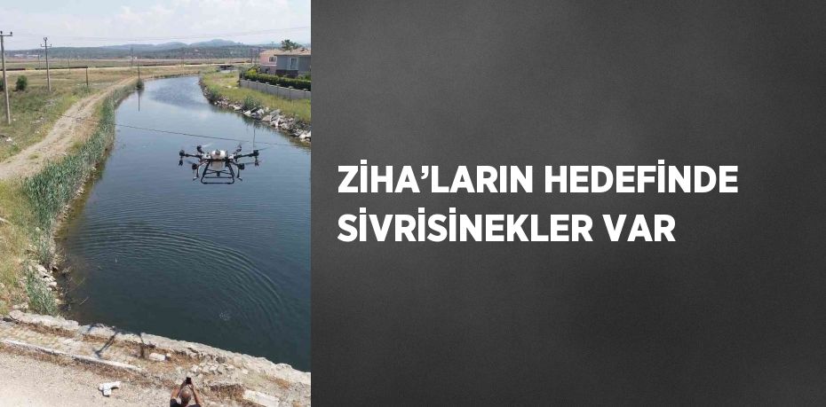 ZİHA’LARIN HEDEFİNDE SİVRİSİNEKLER VAR