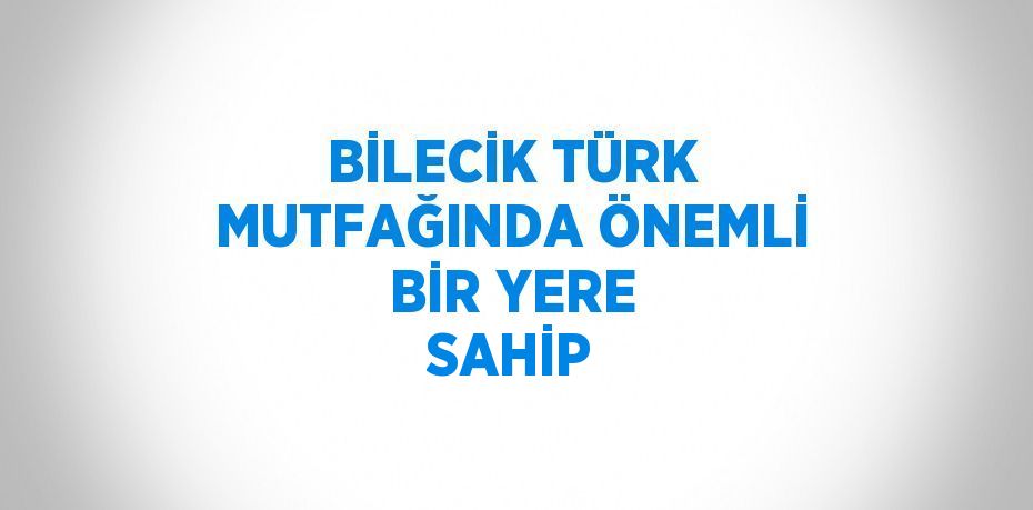 BİLECİK TÜRK MUTFAĞINDA ÖNEMLİ BİR YERE SAHİP