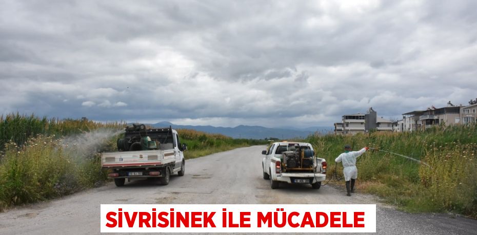 SİVRİSİNEK İLE MÜCADELE
