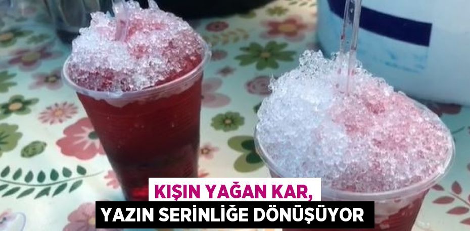 KIŞIN YAĞAN KAR, YAZIN SERİNLİĞE DÖNÜŞÜYOR